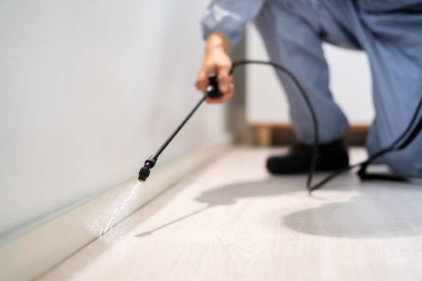 Licensed Rodent Control service in Hanson County County, SD - Nex Pest Control